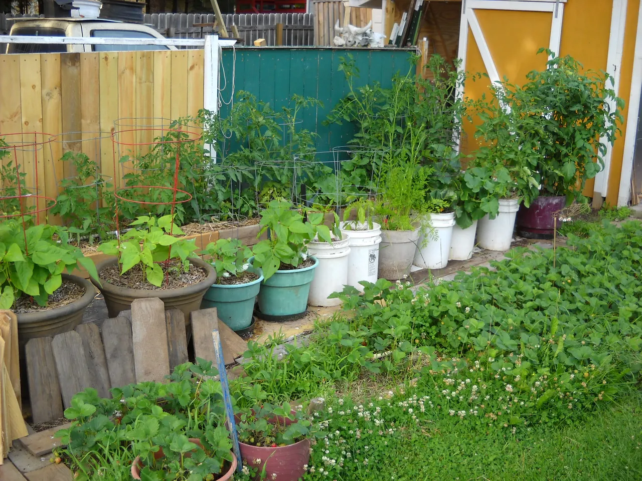 DSCN9097.JPG
