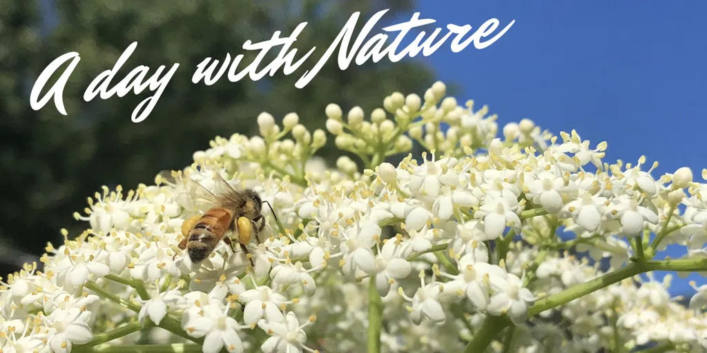 ULOG 133 - A day with Nature