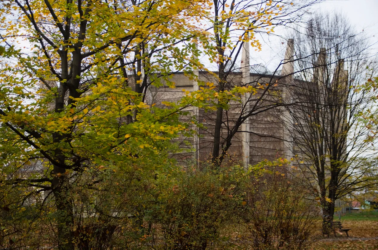 IMGP3857.JPG