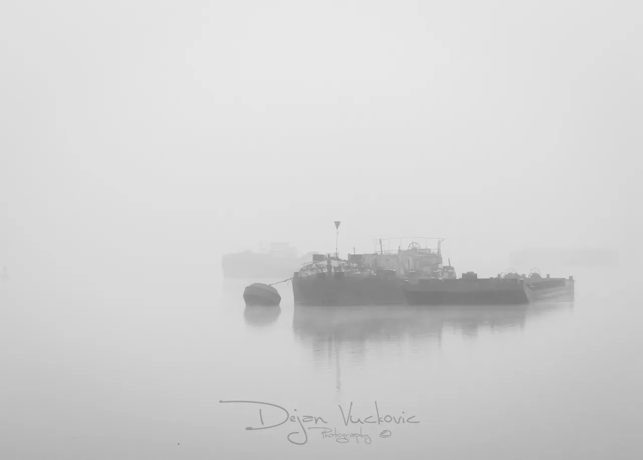 IMG_6656.JPG