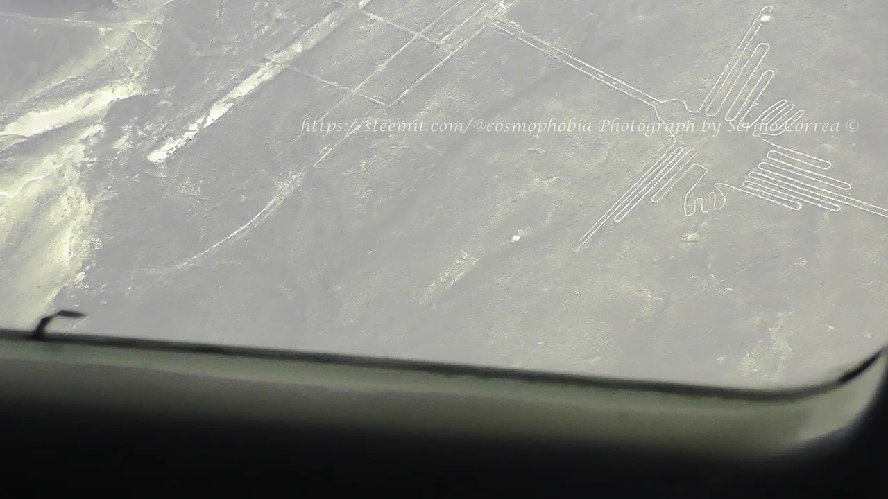 S3090024.JPG