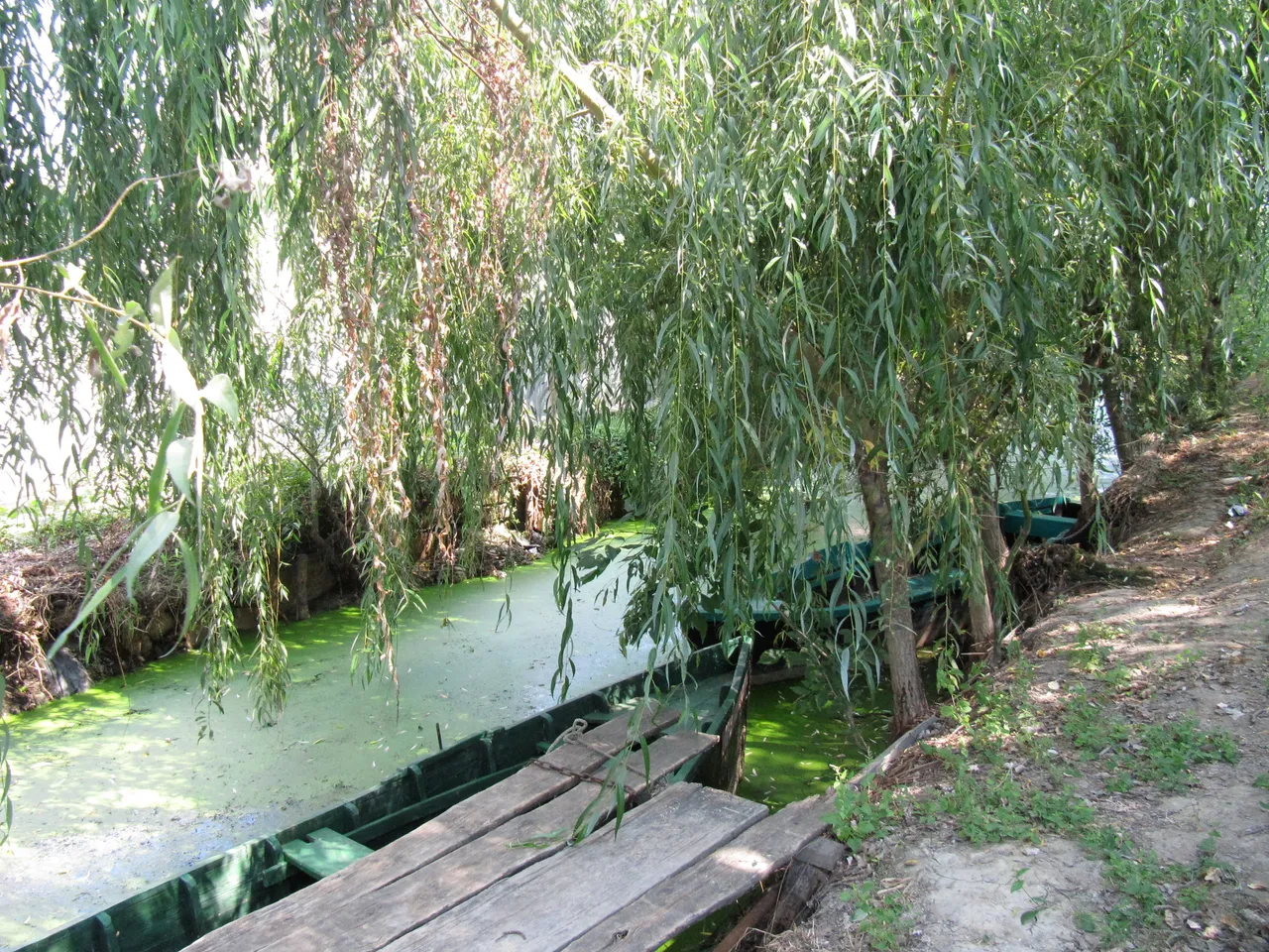 IMG_0575.jpg