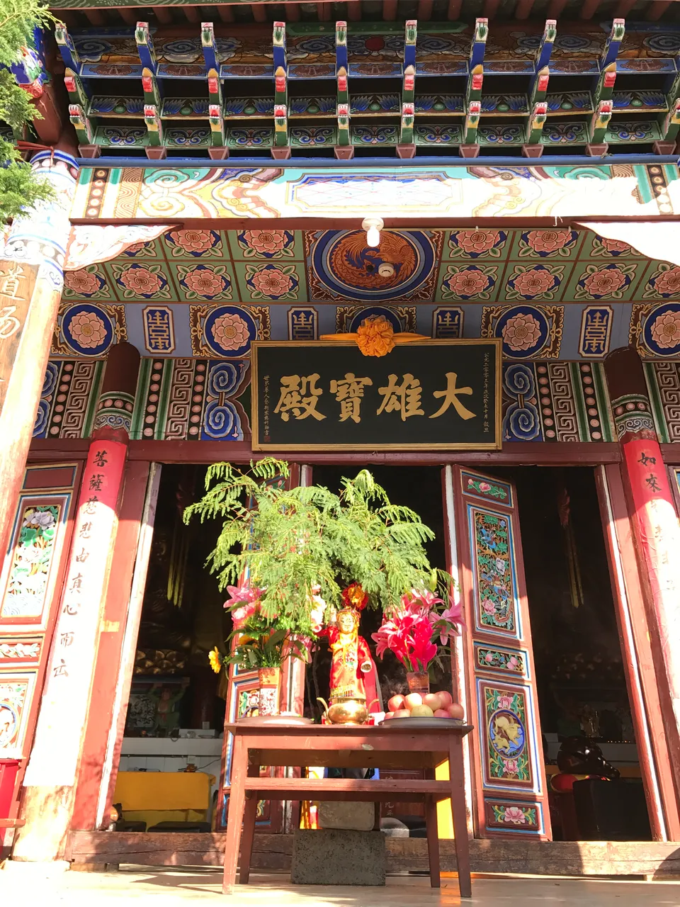 IMG_9568.JPG