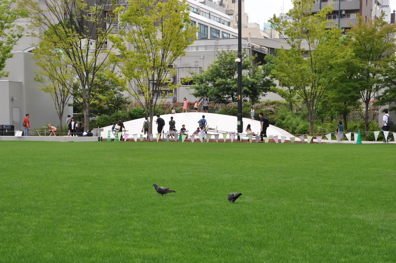 DSC_0014.JPG