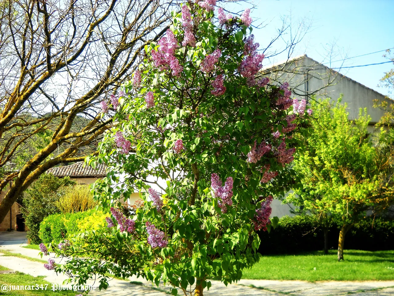 DSCN8712.jpg