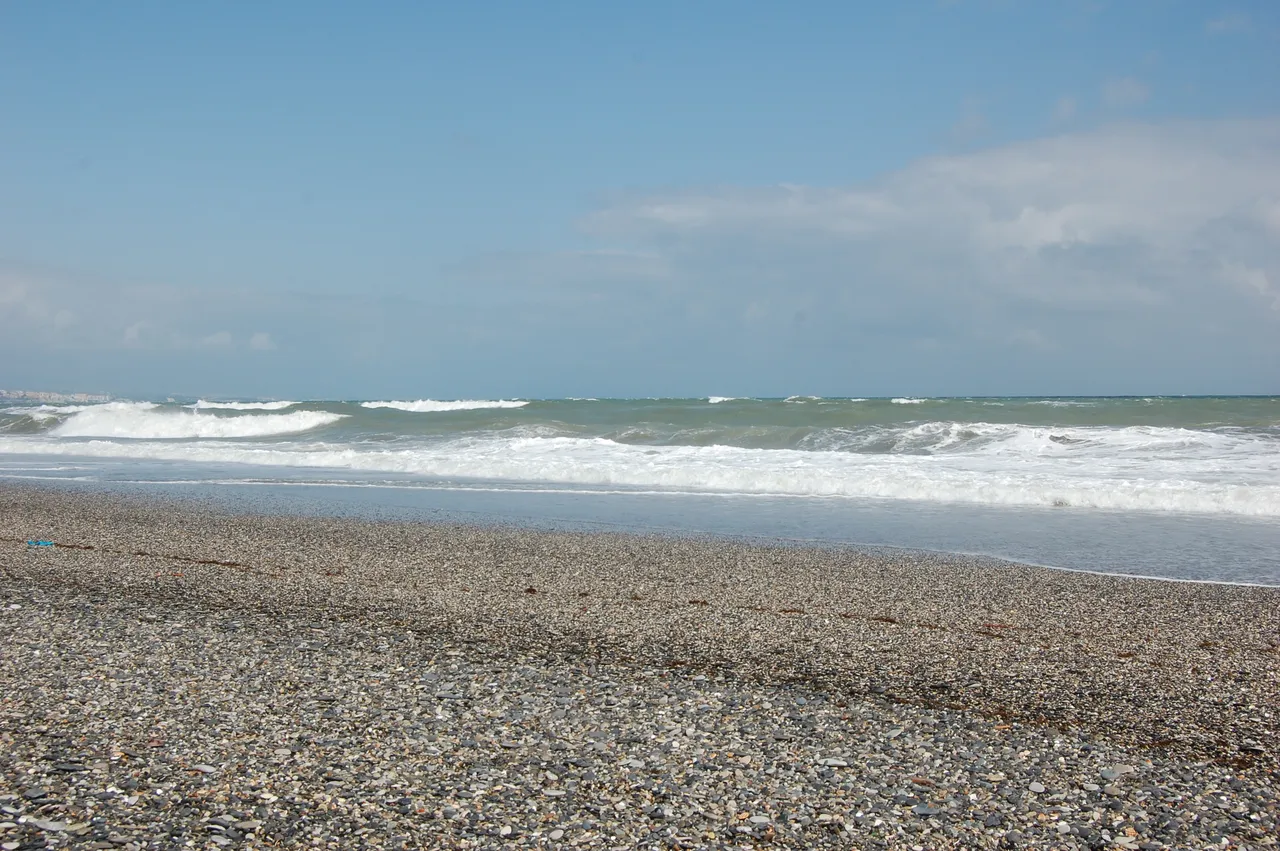 DSC_0261.JPG