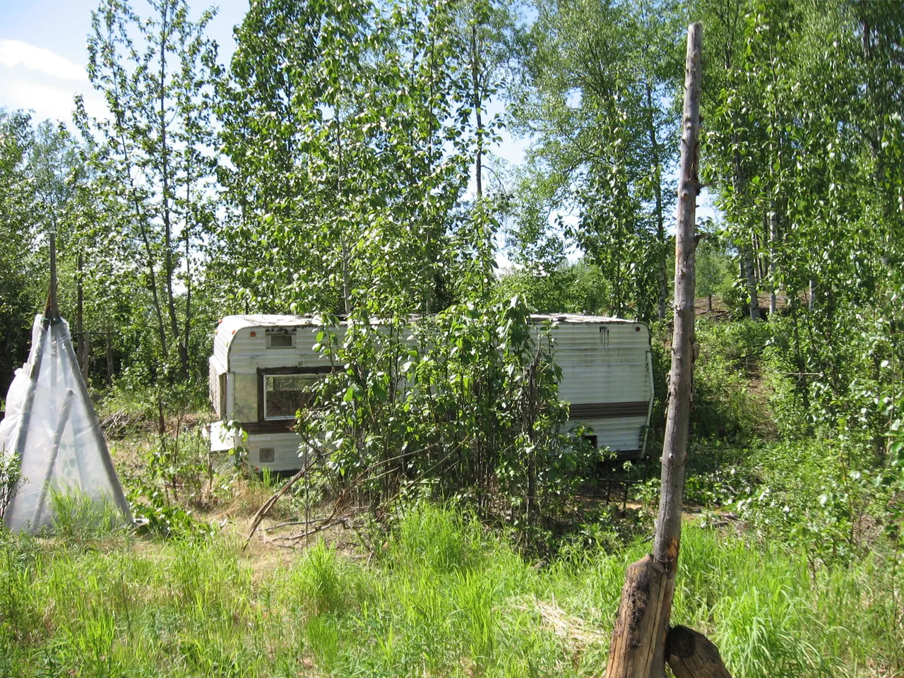 IMG_0013.JPG