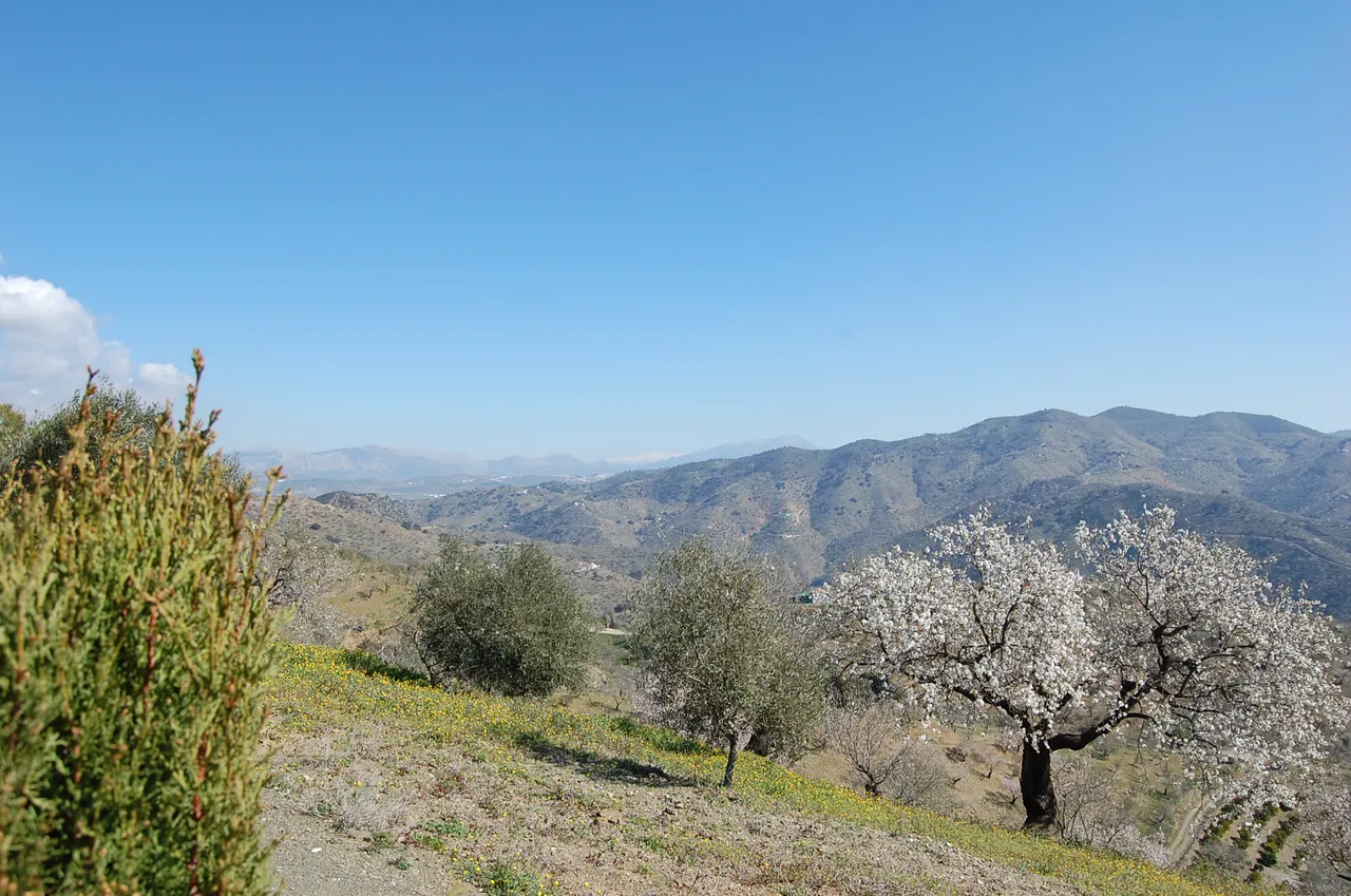 DSC_0401.JPG