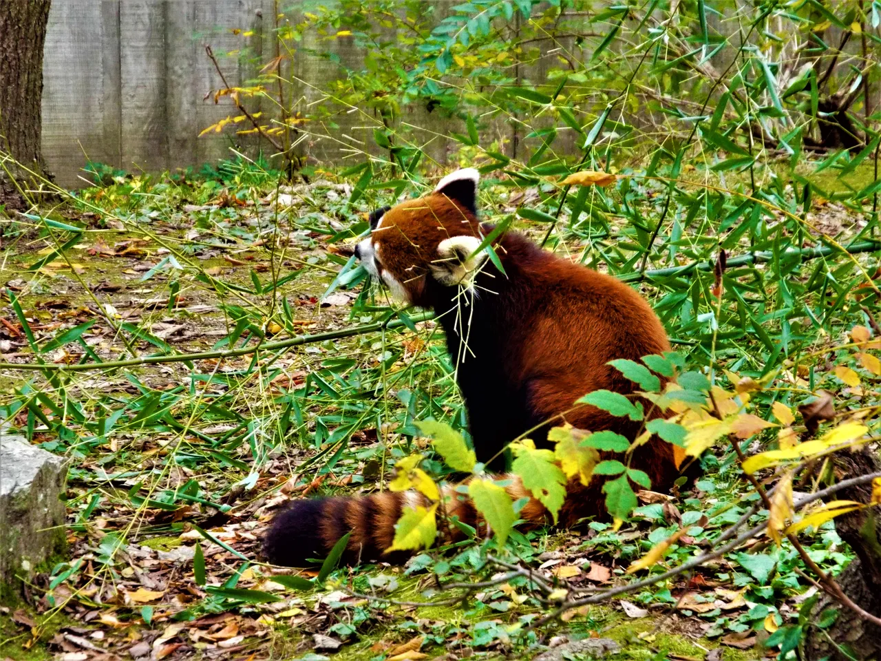 DSCF7275.JPG