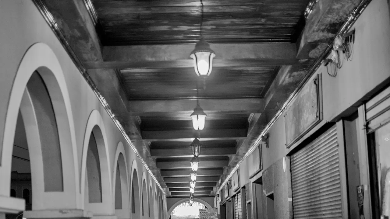 DSC_0193.jpg