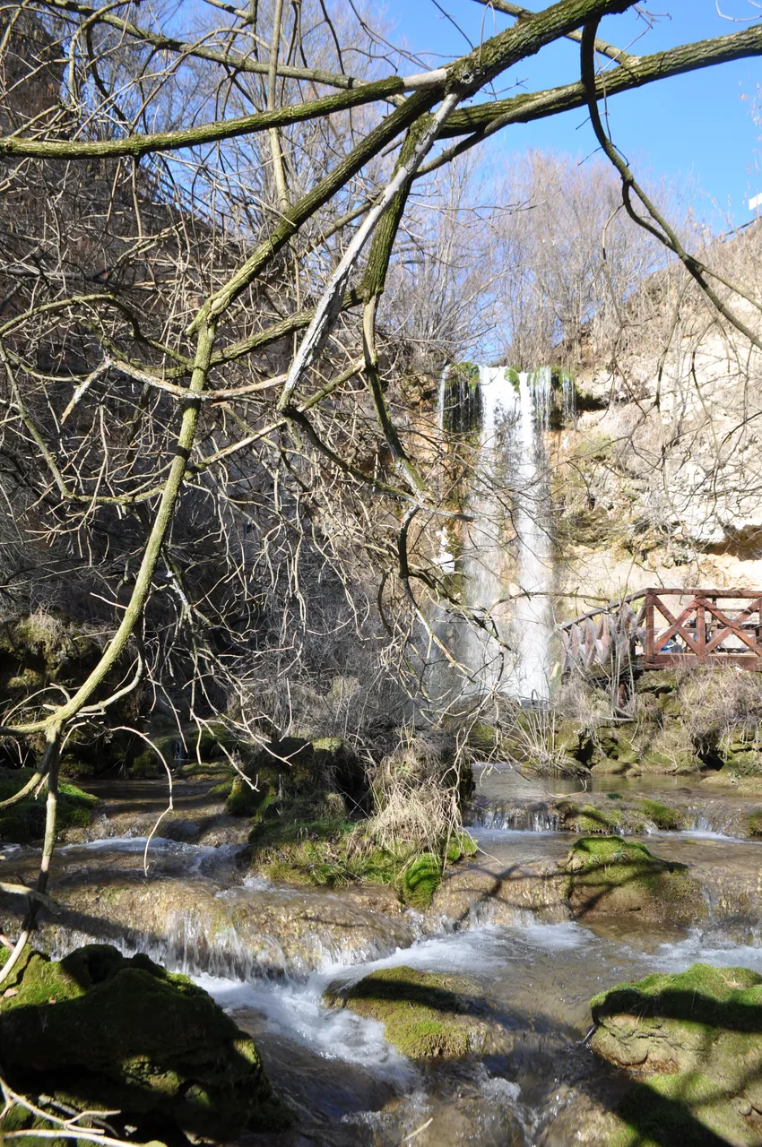 DSC_0187.JPG