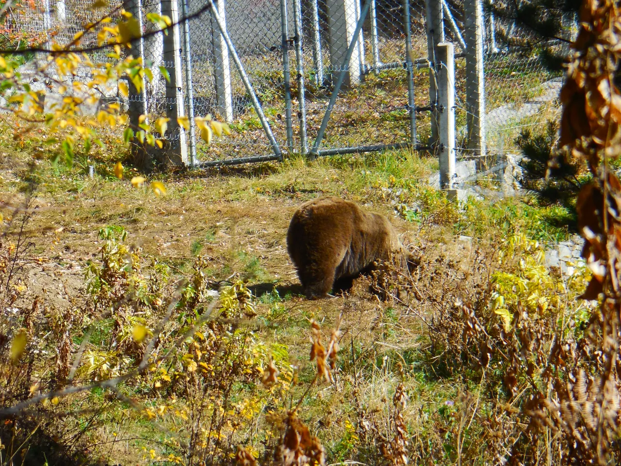 DSCN9677.jpg