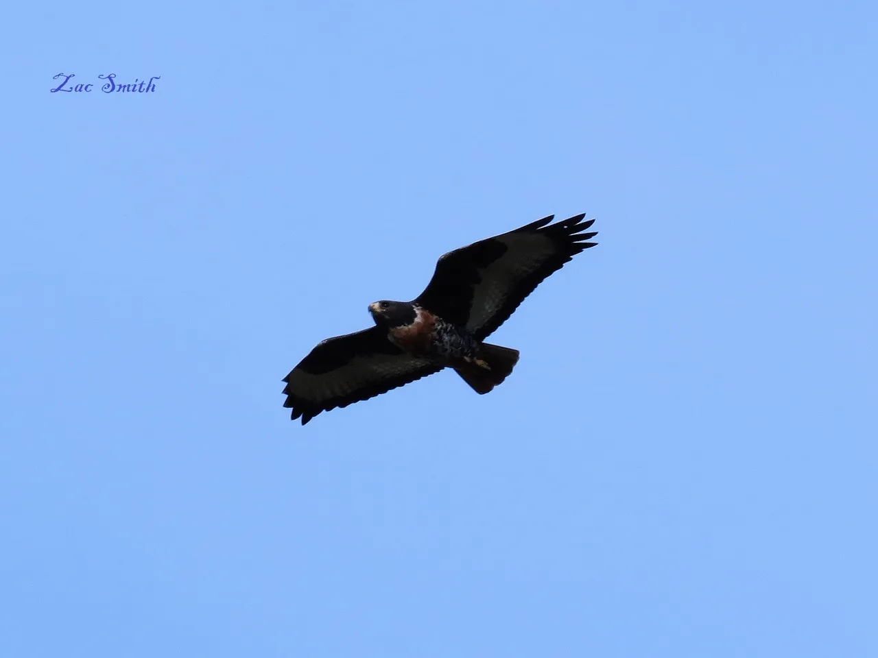 IMG_3321.JPG