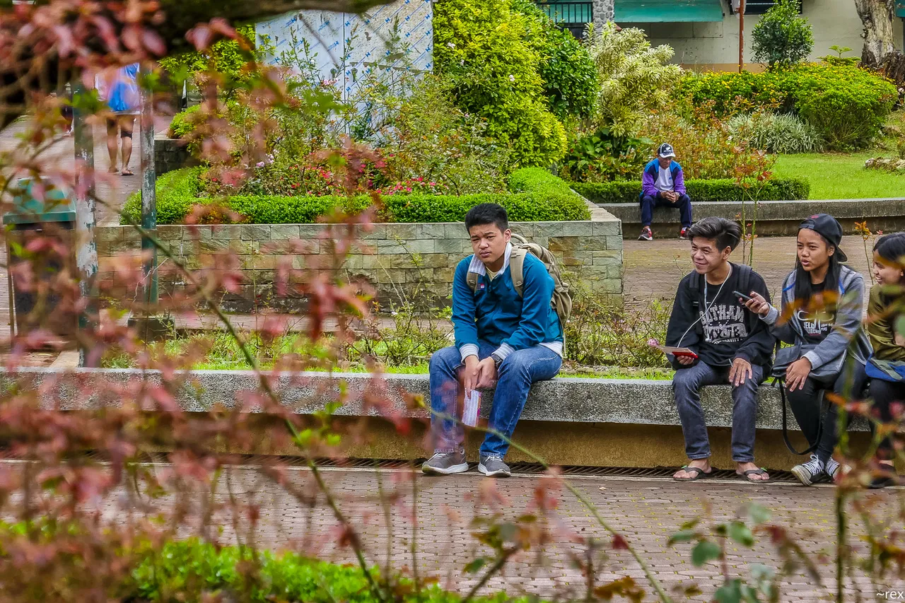 P1100698.jpg