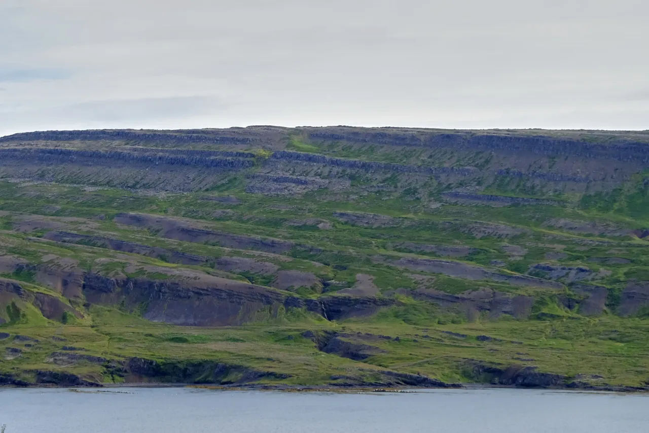 DSCF4495.jpg