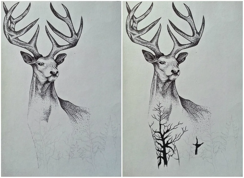 collage7.jpg