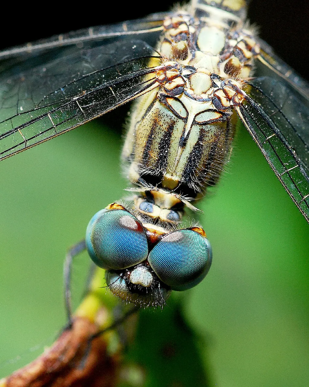 DSC_3602.jpg