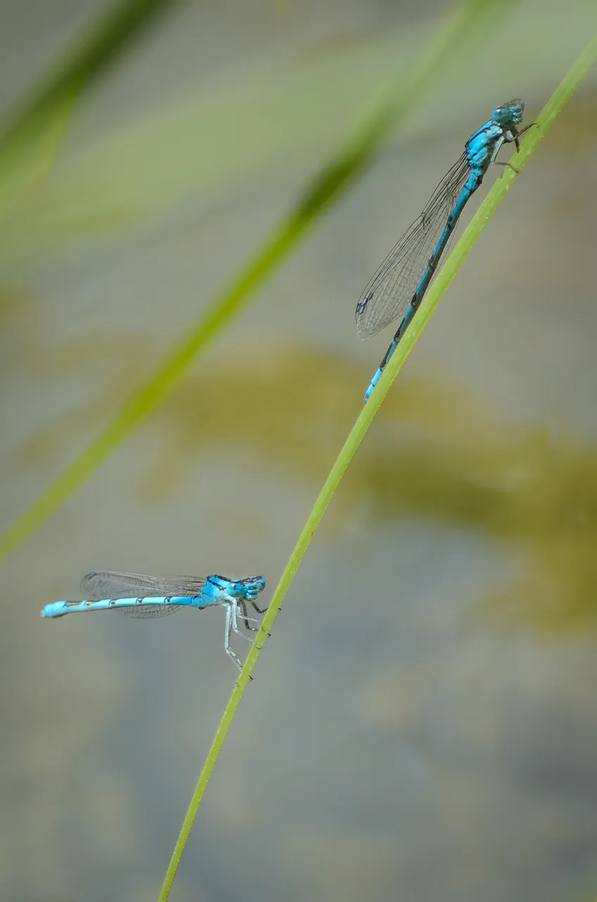 DSC_0765.jpg