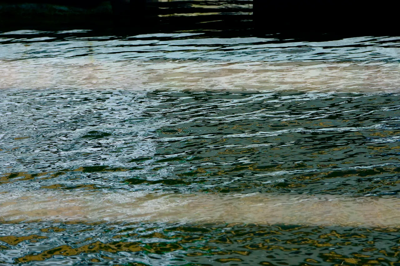 _DSC5786.JPG