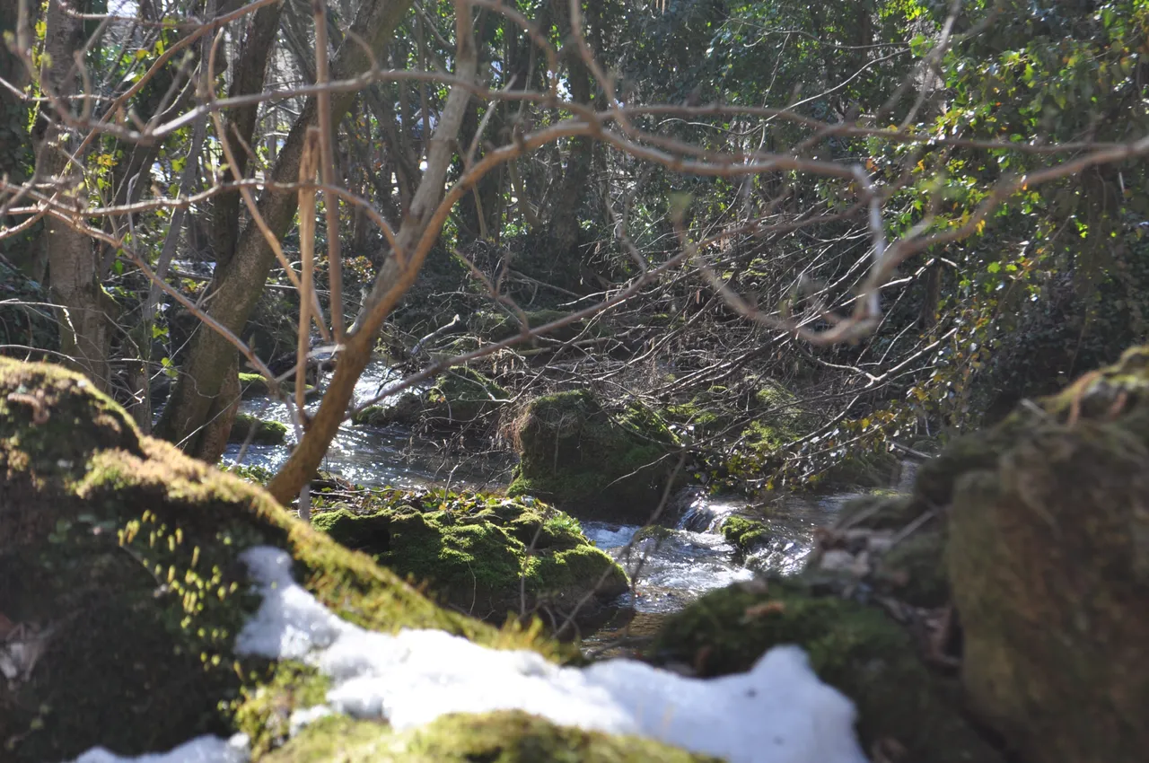 DSC_0179.JPG