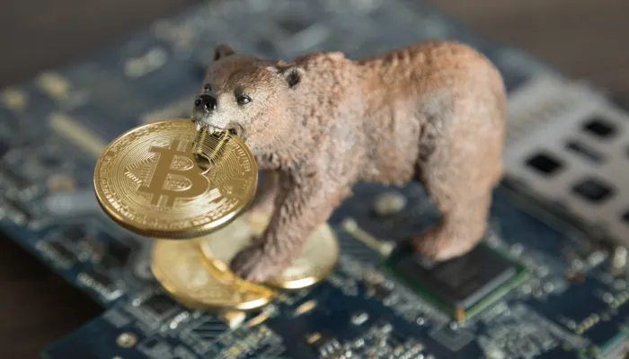 btc_bear.jpg