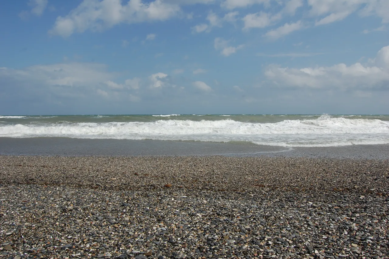 DSC_0248.JPG