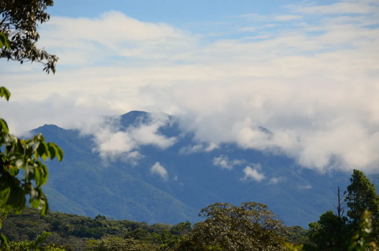 DSC_0148.JPG
