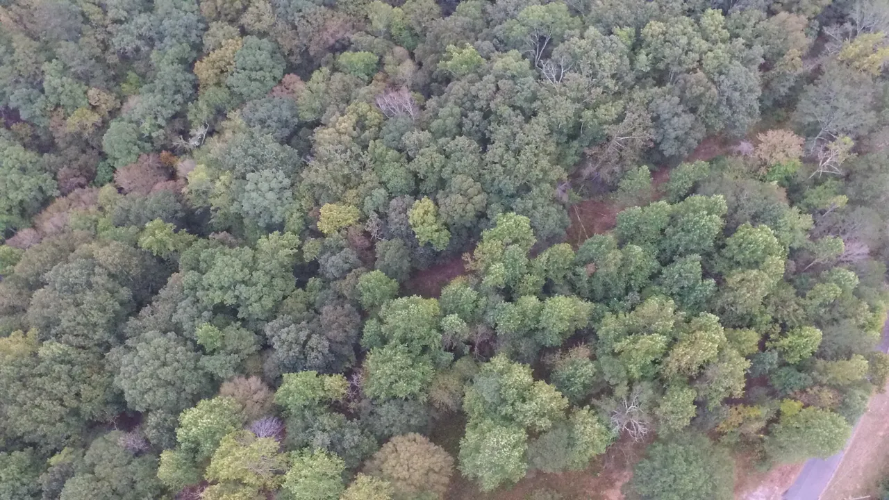 DJI_0027.JPG
