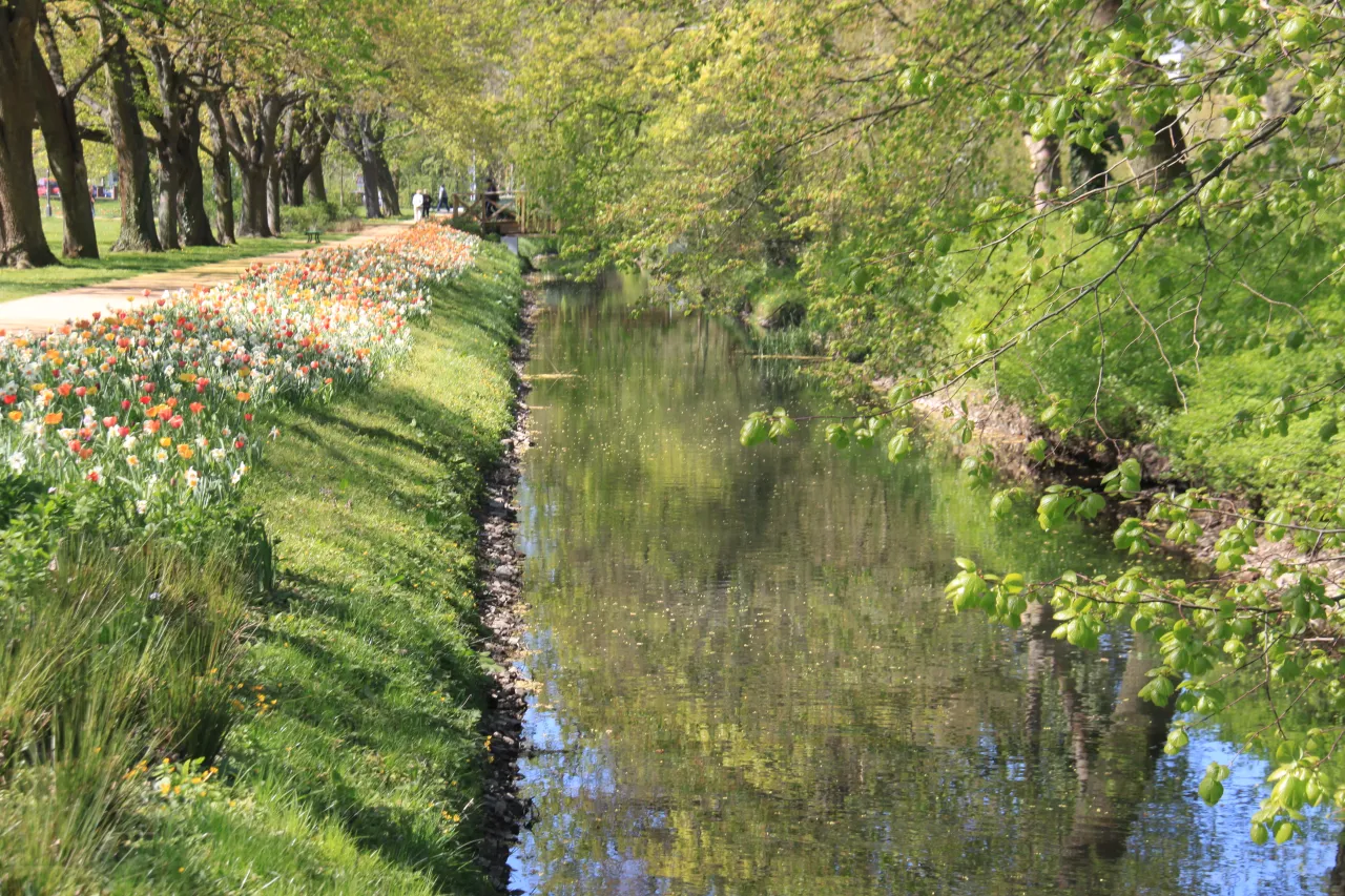 Glinze im Friedrich-Ebert-Park in Wittstock/Dosse