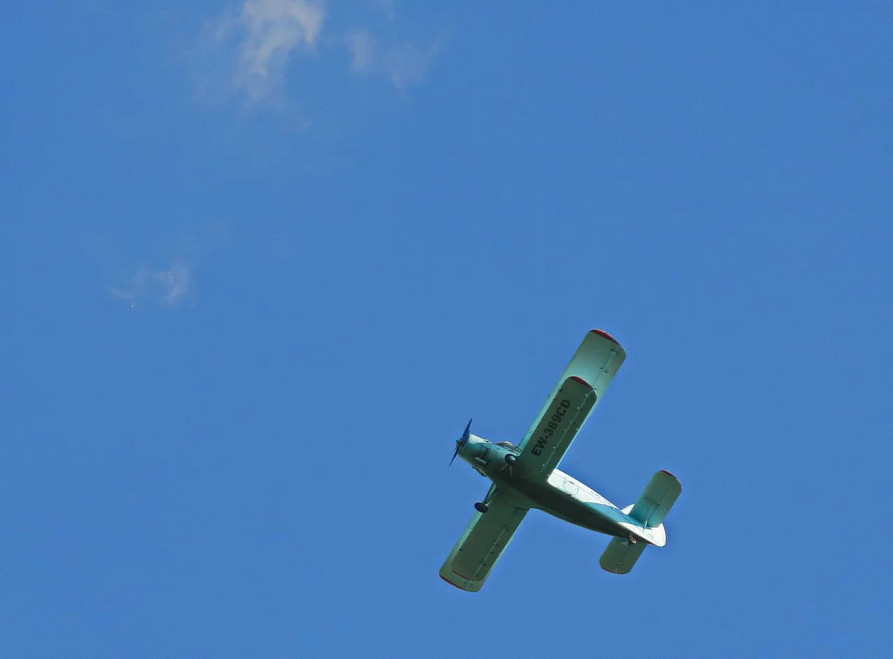 IMG_4884.JPG