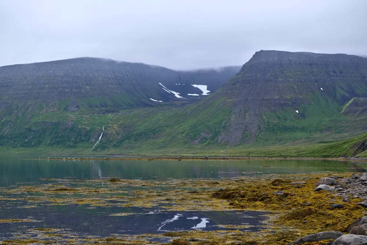 DSCF3386.jpg