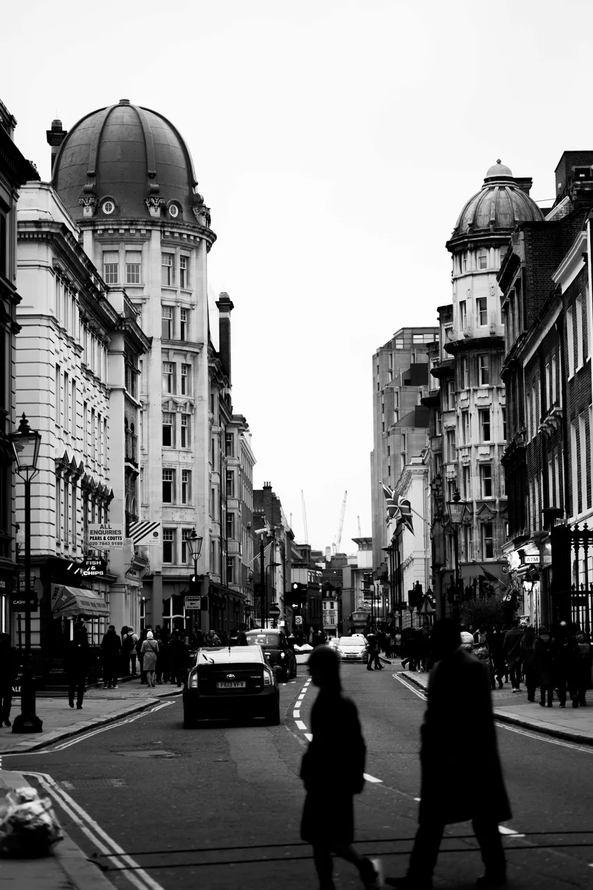 DSC01148.jpg
