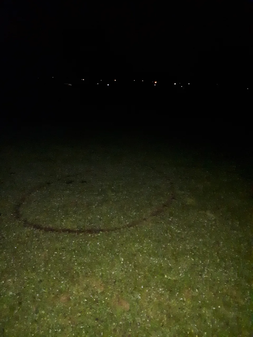 314 03.jpg