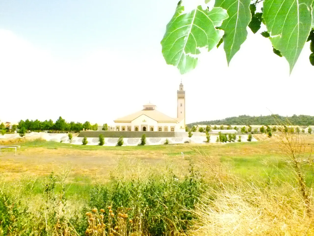 DSCF3741.JPG