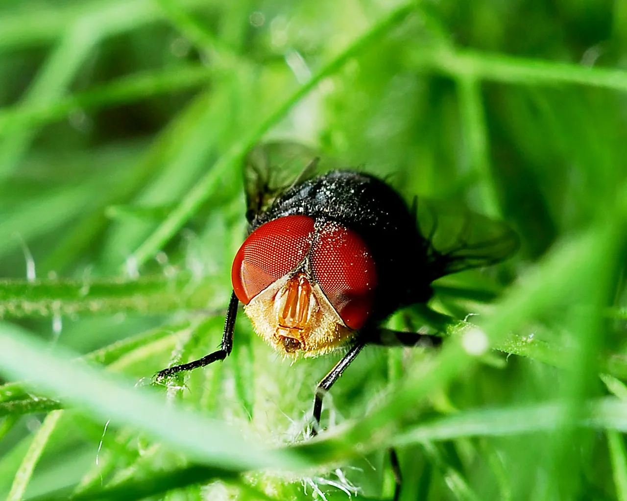 DSC_3660.jpg