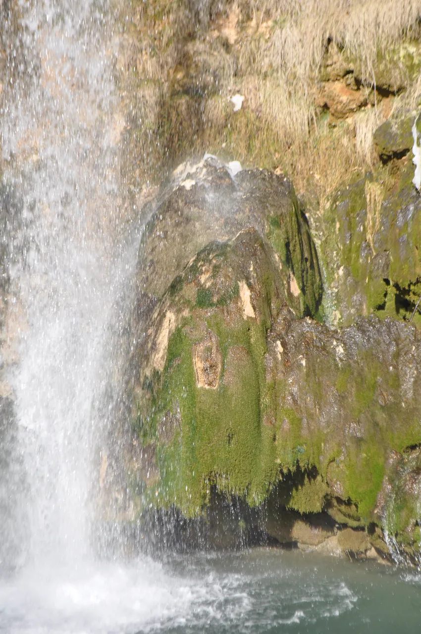 DSC_0201.JPG