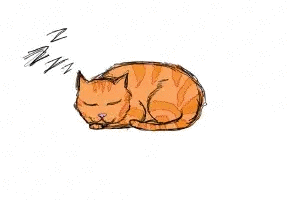 catsleep.gif