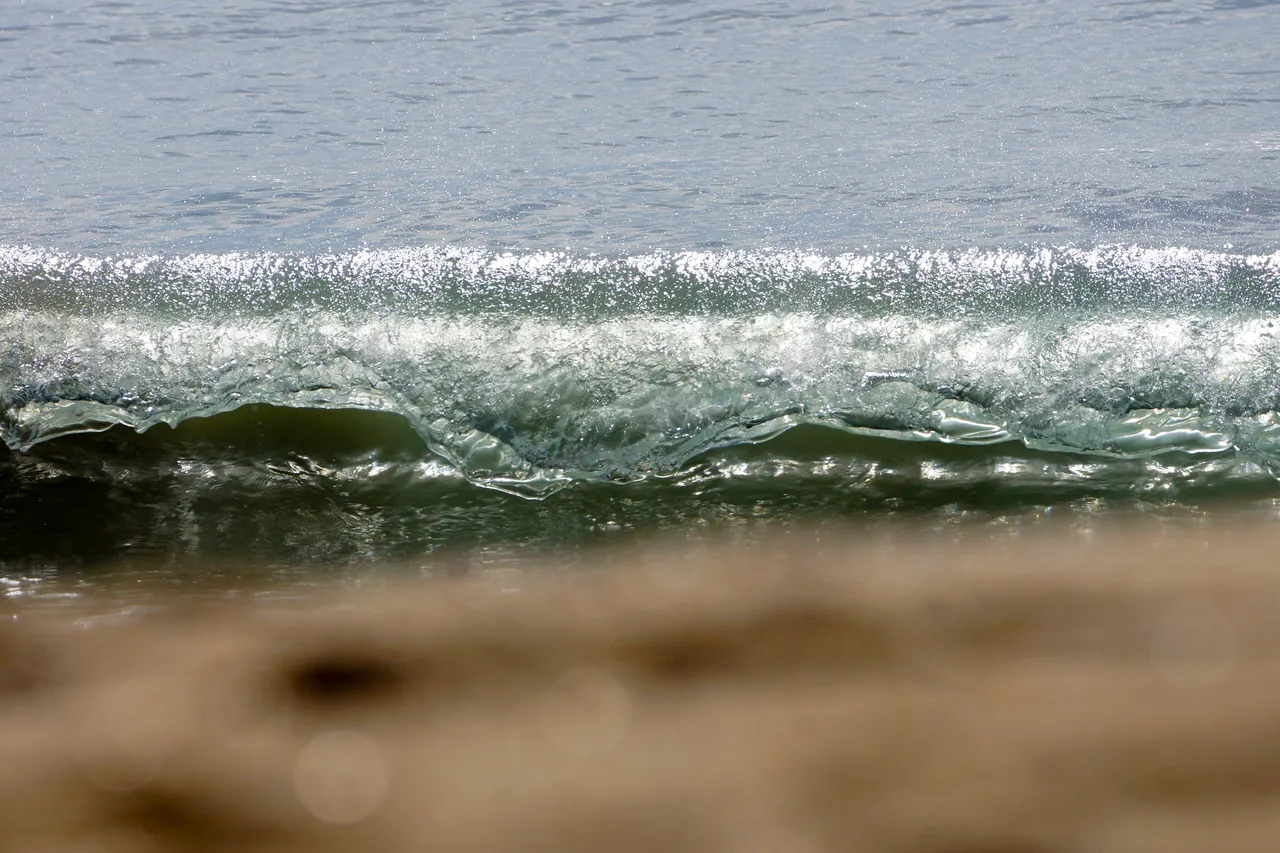 _DSC6987.JPG