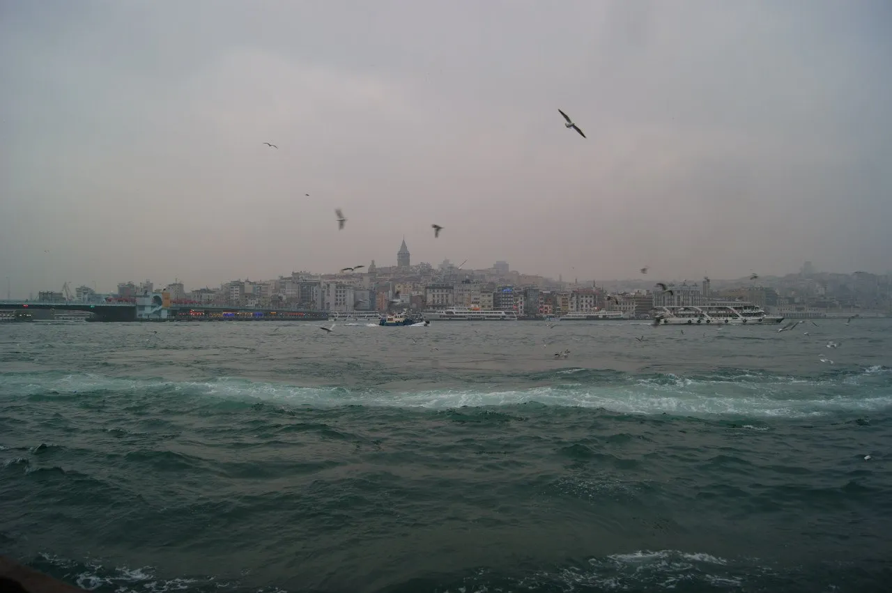 IMG_2948.jpg