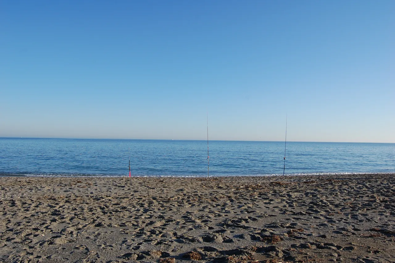 DSC_0782.JPG
