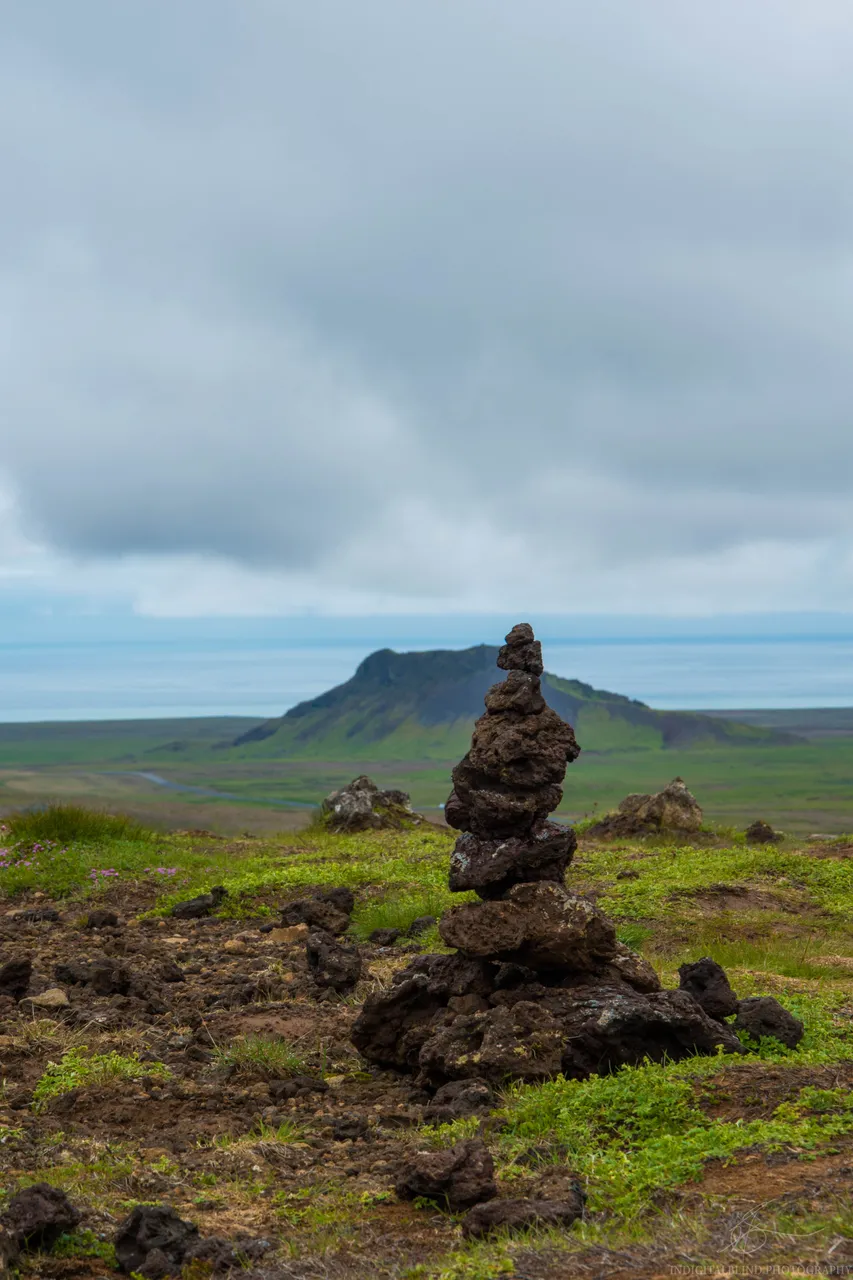 DSC_0025.jpg