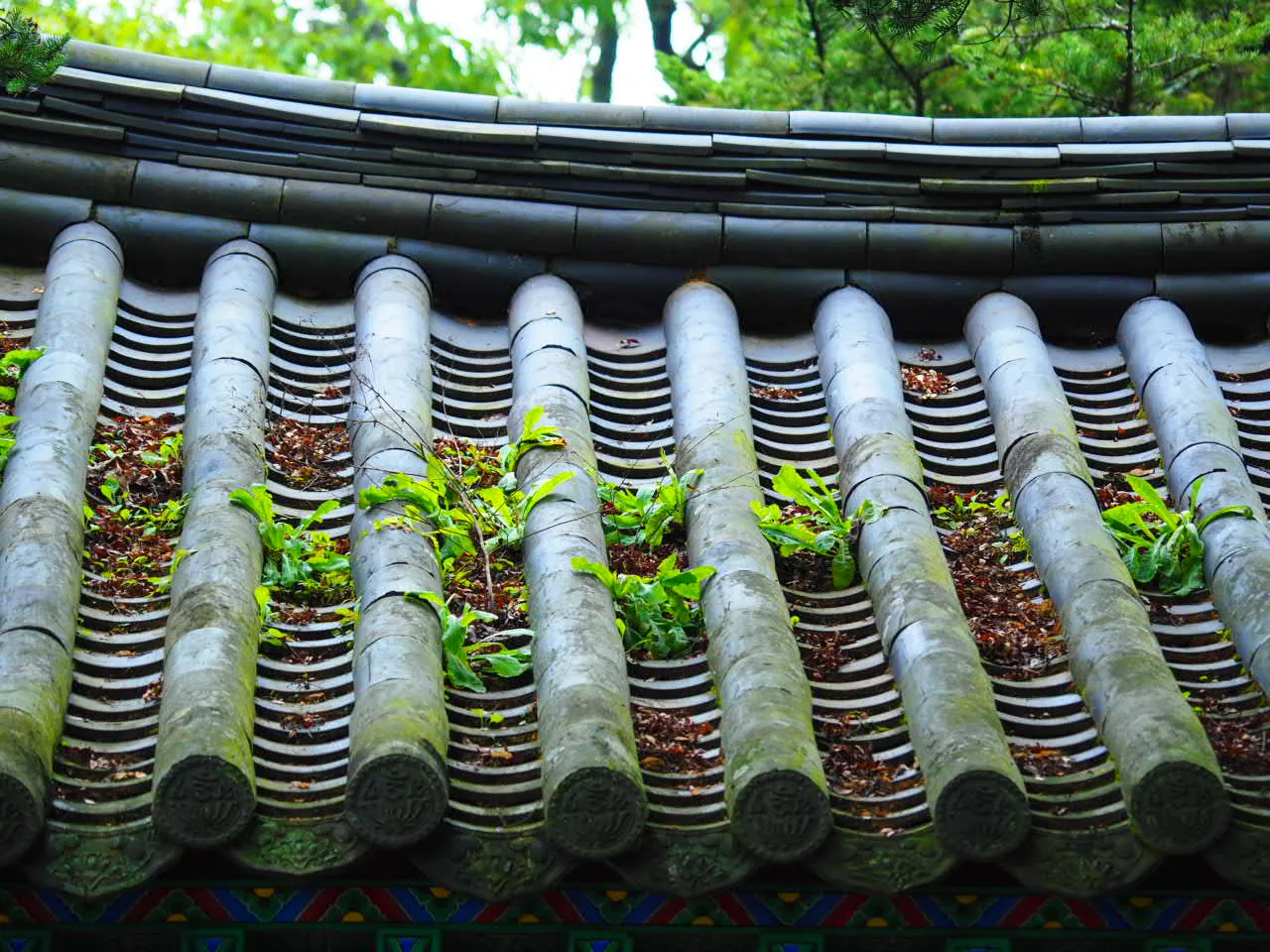 PA010034.JPG