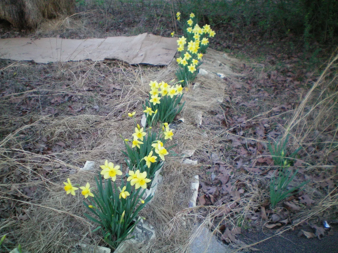 100_0006.JPG