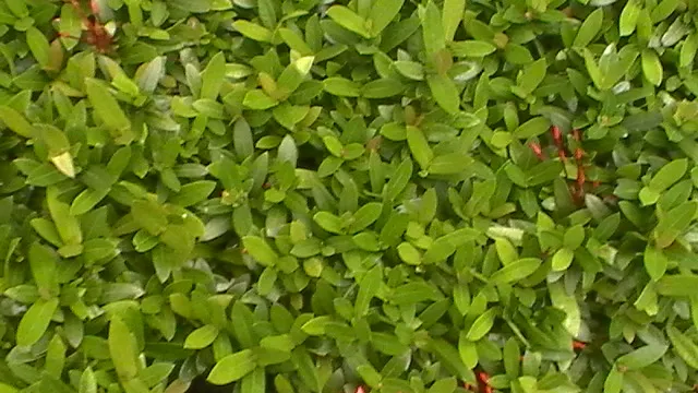 H1290018.JPG