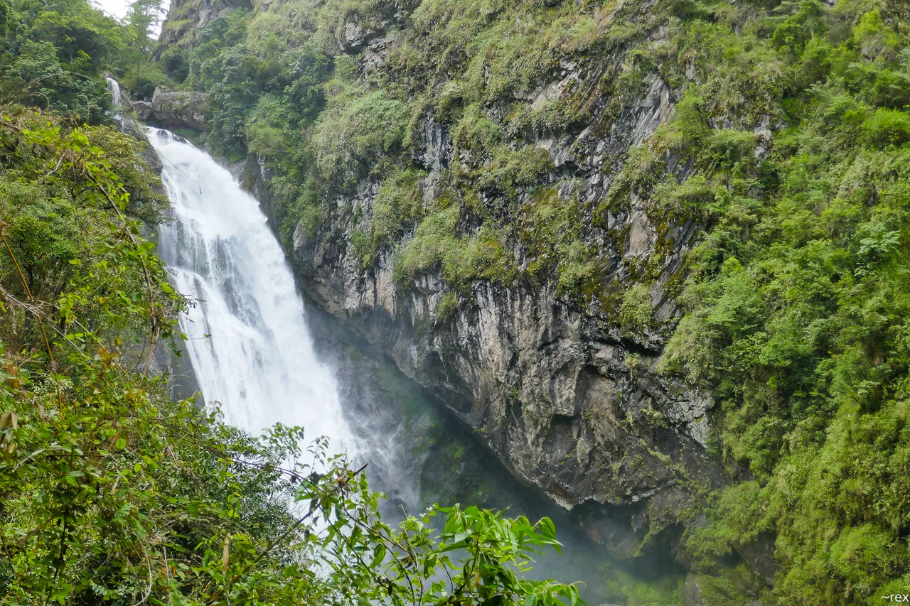 P1100422.jpg