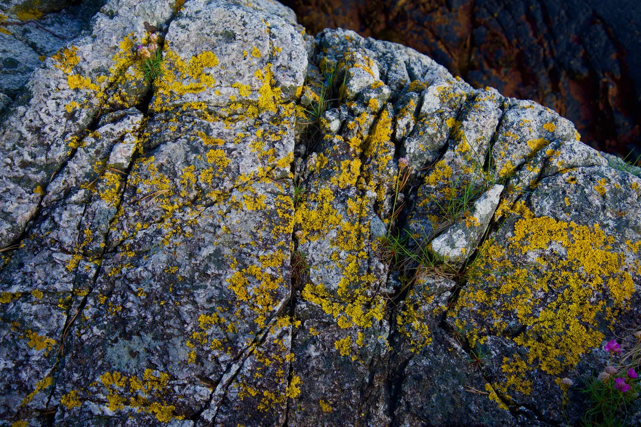DSC_1495.jpg