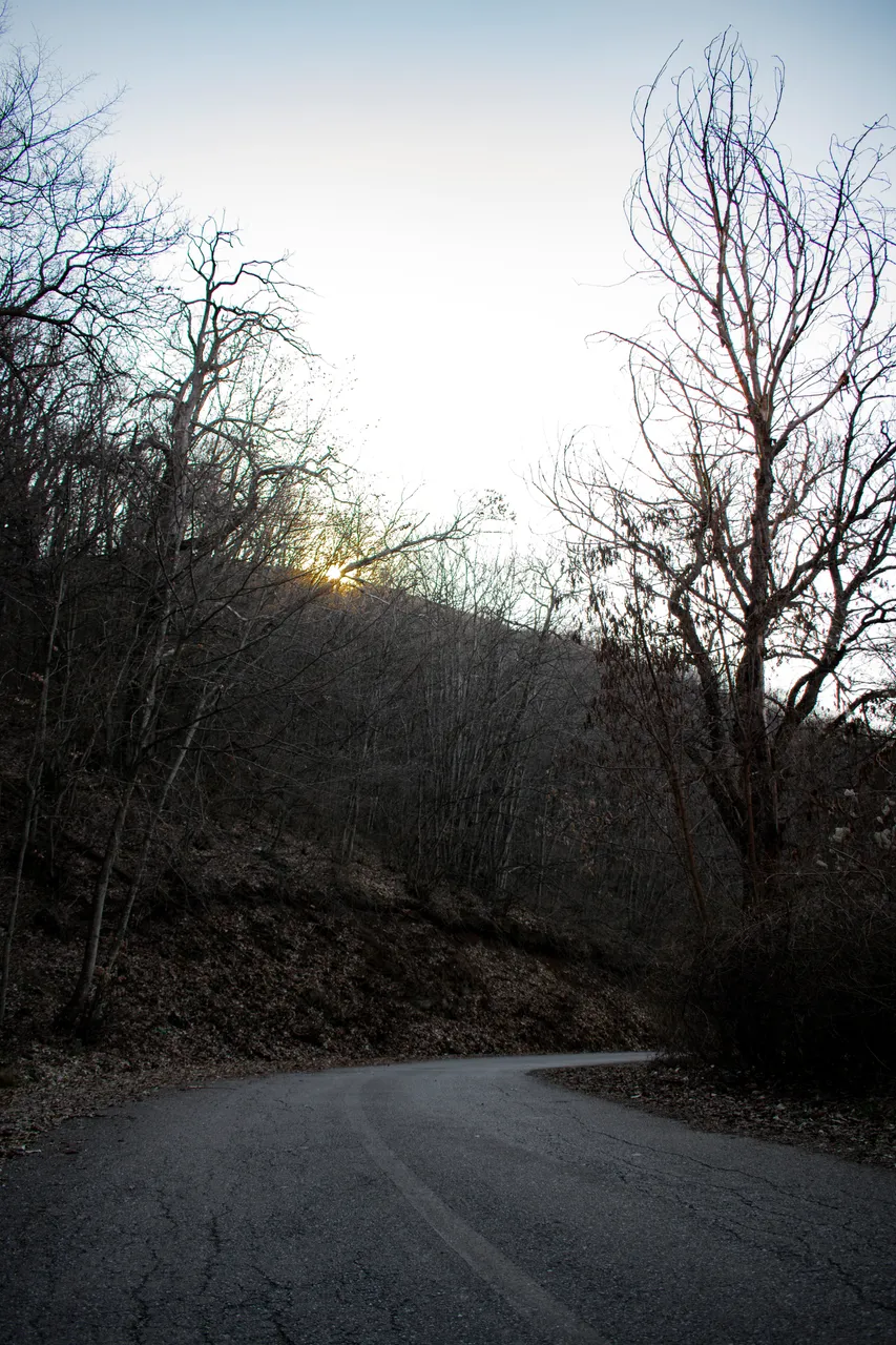 DSC_0158.jpg