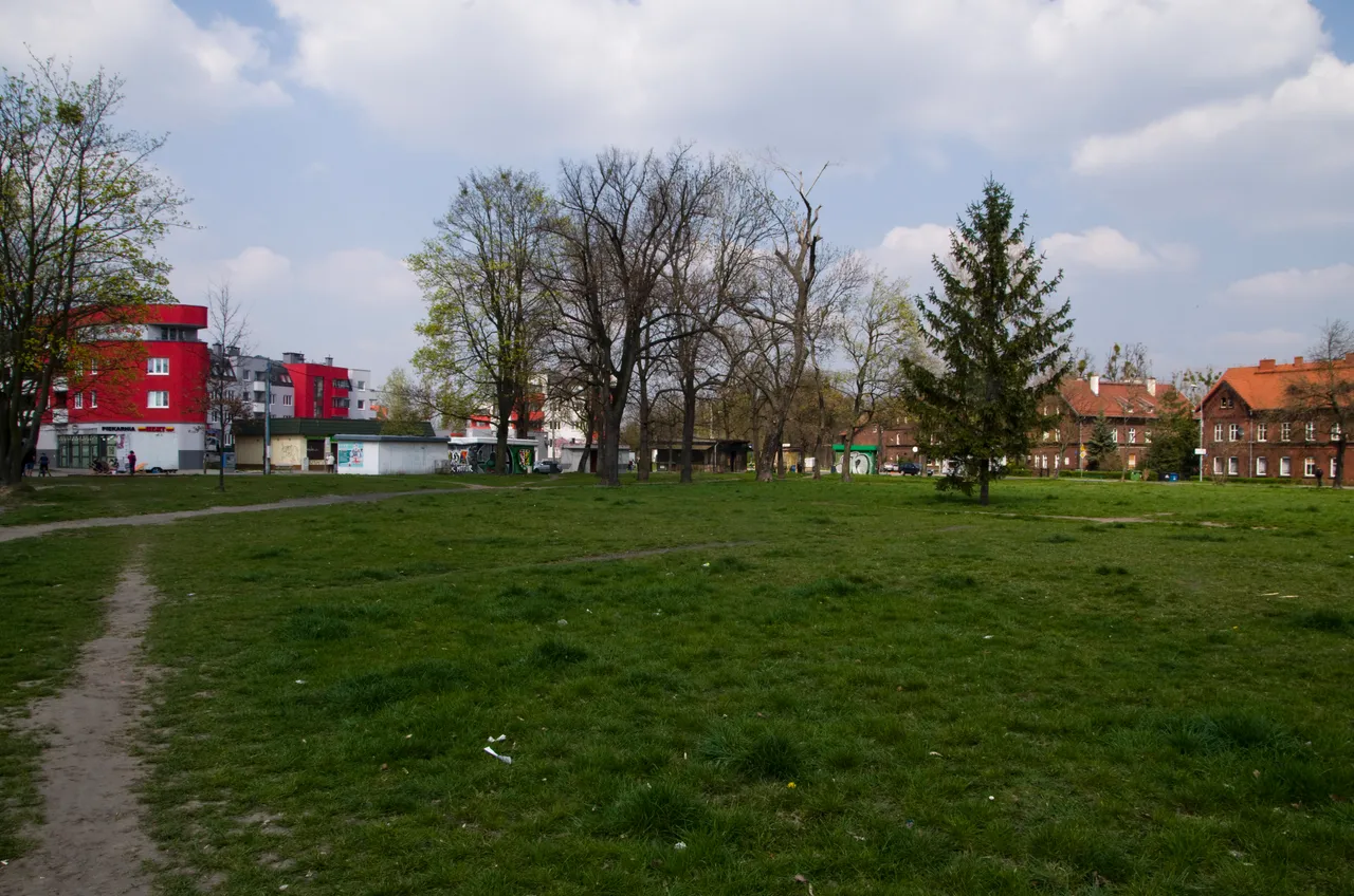 IMGP5173.JPG