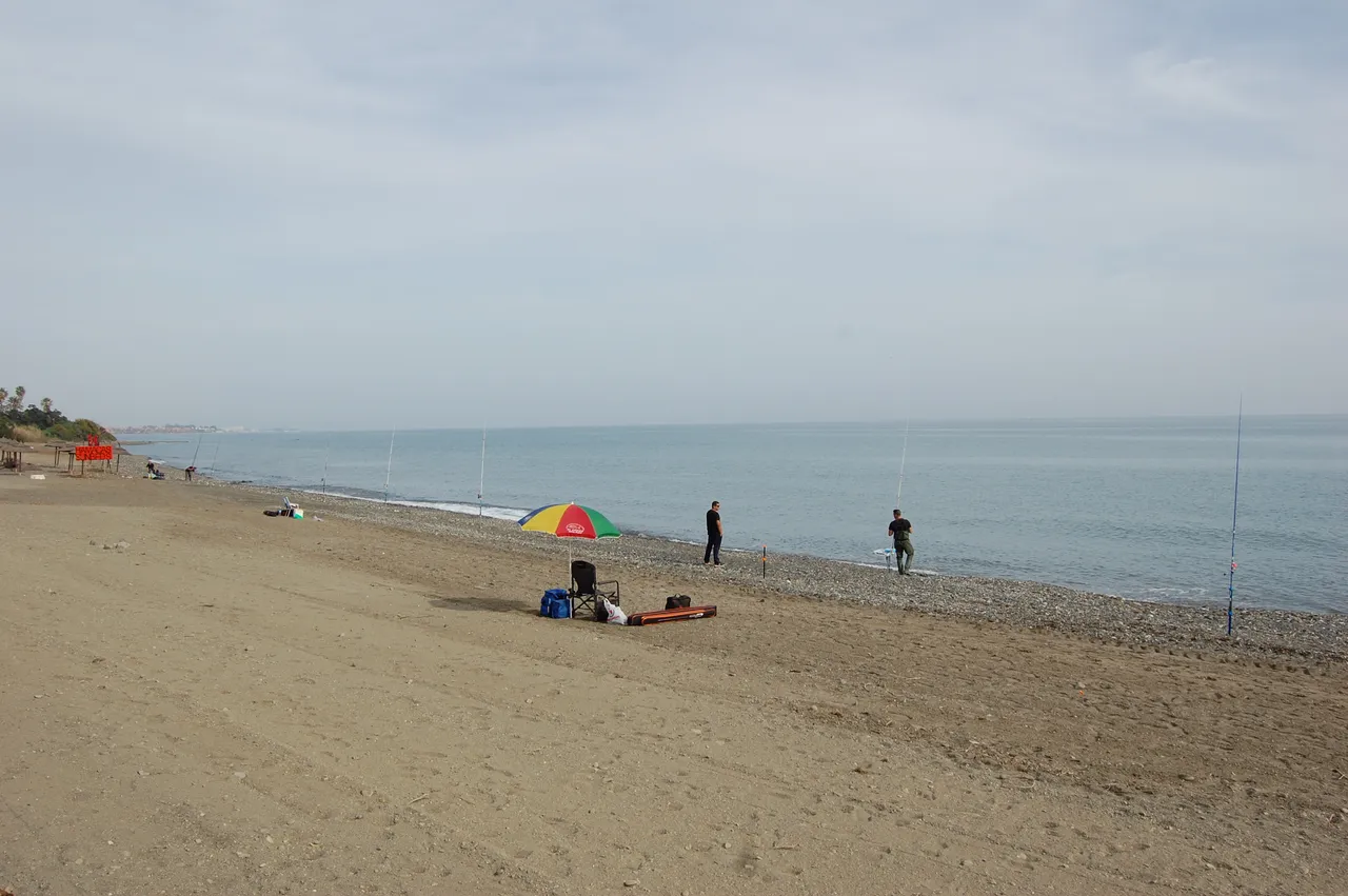 DSC_0153.JPG