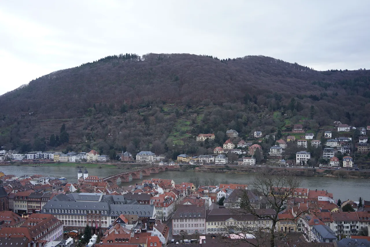 DSC03153.JPG